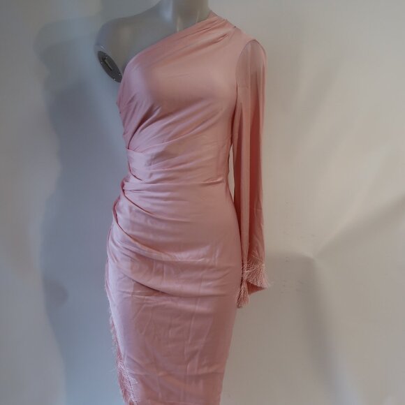 NWT Womens PatBO Light Pink Fringe Trim One Shoulder Asymmetric Oscar Dress 6 - Picture 2 of 16